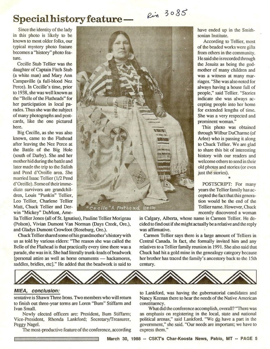 Newspaper Article