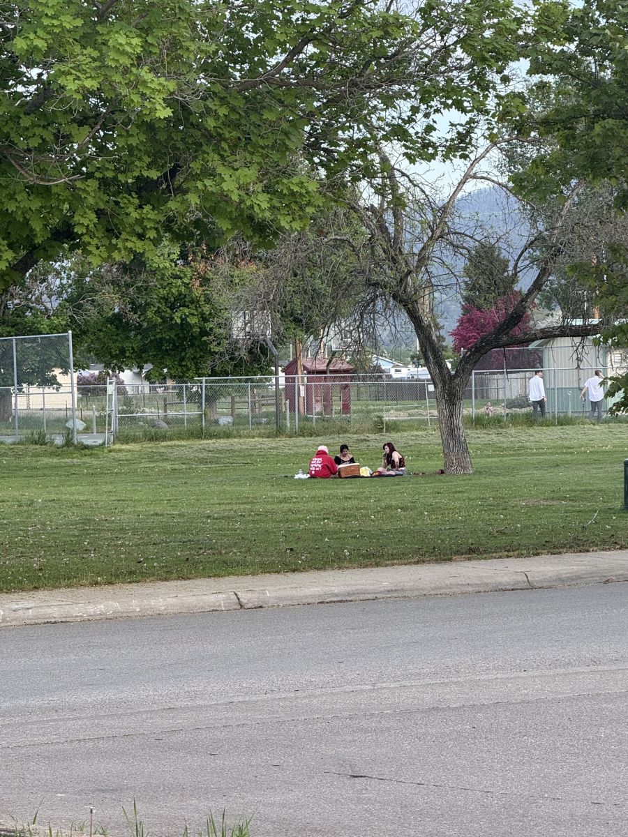 Relaxing at the park